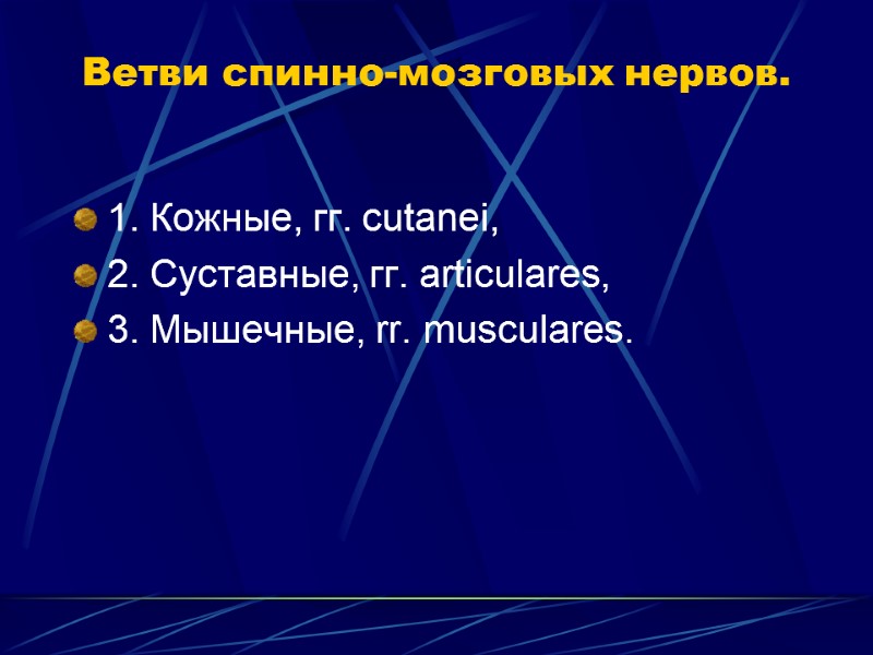 Ветви спинно-мозговых нервов. 1. Кожные, гг. cutanei,  2. Суставные, гг. articulares,  3.